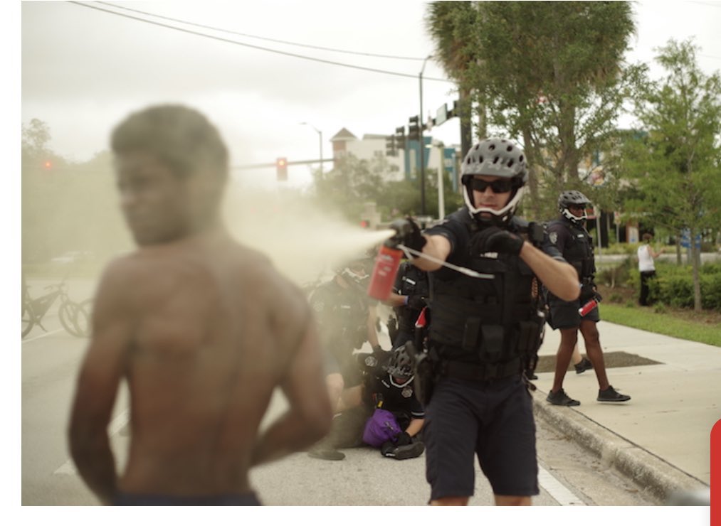 Tampa Bay IWW tweet media