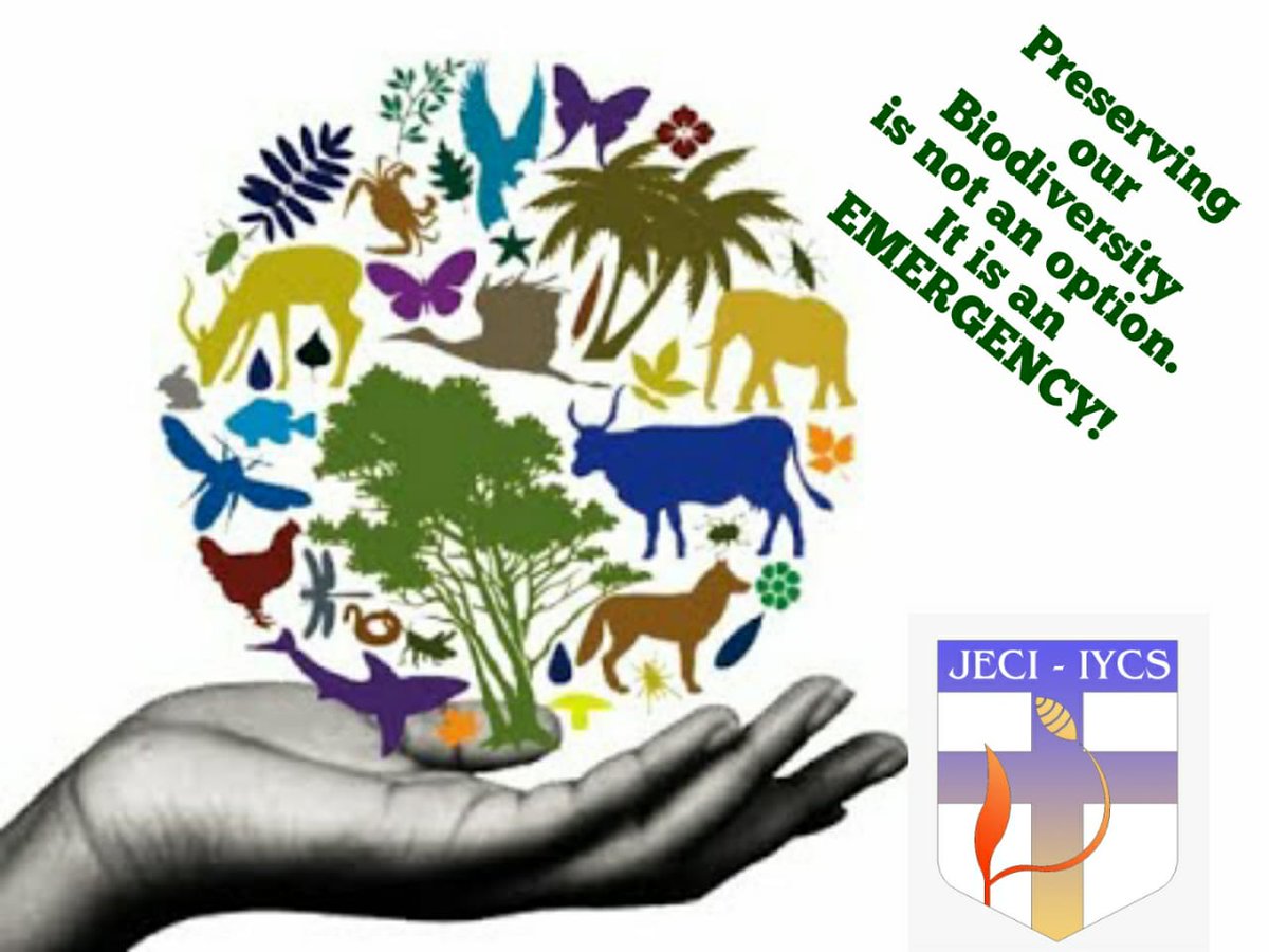 "What kind of world do we want to leave to those who come after us, to children who are now growing up? The question not only concerns the environment in isolation; the issue cannot be approached piecemeal.

~Pope Francis

Happy World Enviromment Day
#WorldEnvironmentDay2020