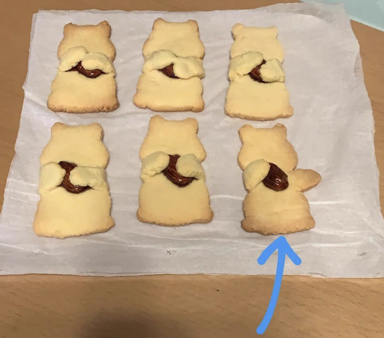 @TDP_PP 私も以前🐿君達にアーモンドを持ってもらったら、途中で片手を離しちゃった子がいました🥺 