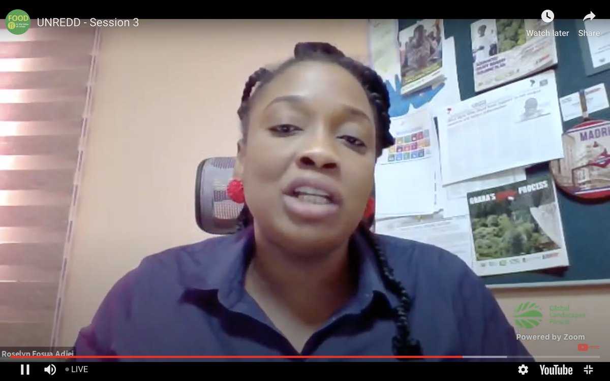 CIFOR_ICRAF's tweet image. We are not just focussing on #cocoaproduction systems in #Ghana. We are also trying to build resilient landscapes that give people a voice to strengthen governance and put communities in the management of forests and safeguard the environment ~ Roselyn Fosua Adjei #GLF2020Bonn