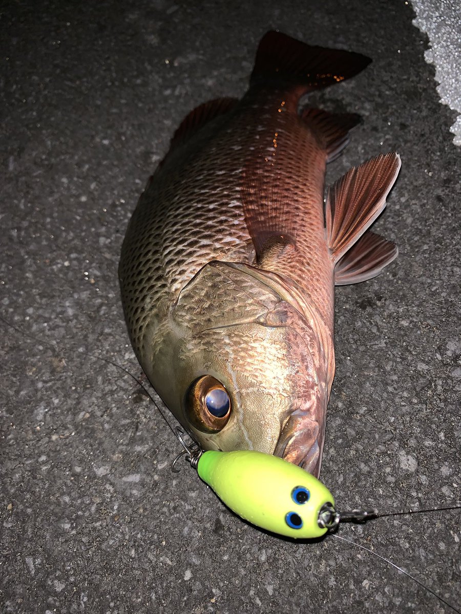 ヒロ 朝 夜とジャック マサ工房 沖縄ルアー マングローブジャック