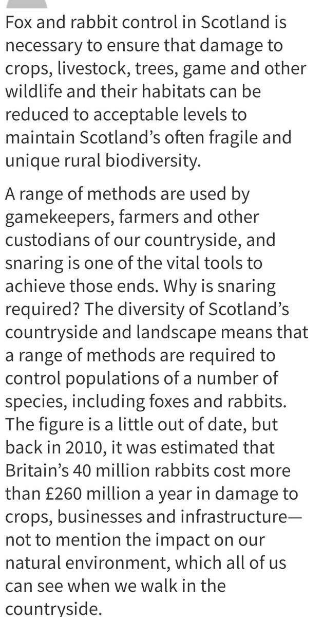 'But why kill rabbits? Aren't they harmless?'Well no. Rabbits are voracious eaters, breeding like, well rabbits. They can decimate a crop, cover crops put in to support other wildlife and birds, undermine foundations of buildings and walls, and cost millions a year in damages.