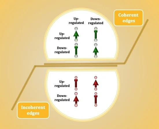 Mohieddin tweet media
