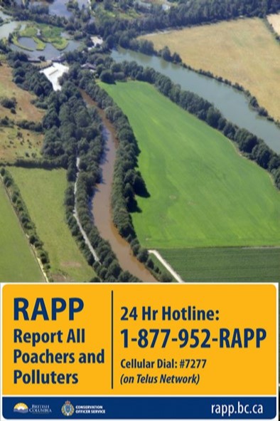 Manure and water just don’t mix. Report all acts of pollution to the BC RAPP line at rapp.bc.ca.