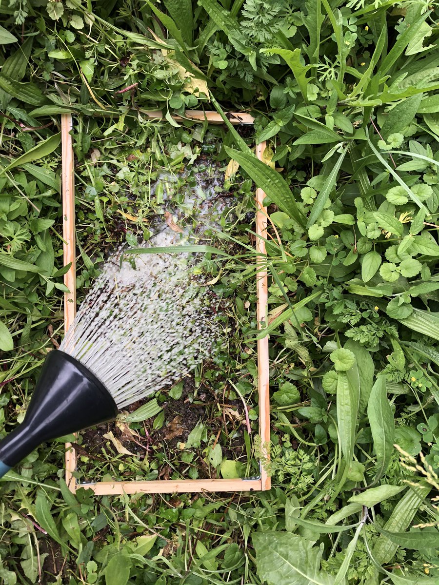 🍃 Quoi de mieux pour célébrer cette #journeemondialedelenvironnement 🌍 que de réaliser notre 2nde intervention sur le campus Bridoux de l’<a href="/Univ_Lorraine/">Lorraine</a> 🎓dont l’objectif était de 1/ récupérer les pièges à #macrofaune 🕷 et 2/ échantillonner les #versdeterre !