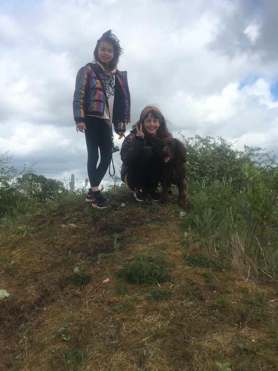 almcgui's tweet photo. @MorningsidePS our nature walk and ball bouncing. Well done everyone- what a fantastic amount raised. #MPS2020Challenge https://t.co/tLnmfPvBBI