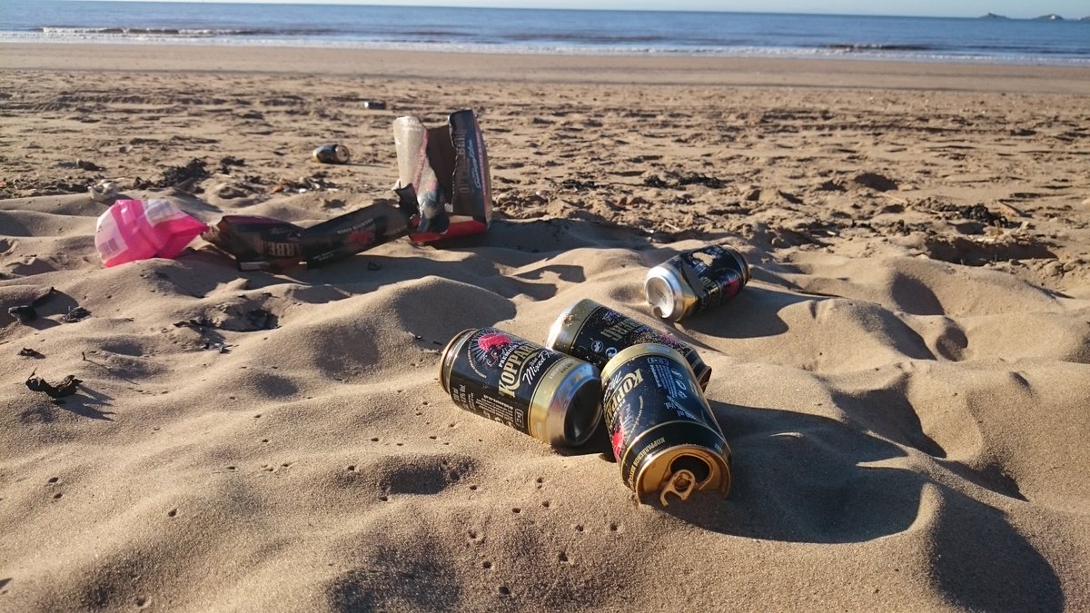 Dropping litter goes beyond making a beach look untidy. 

80% of marine litter comes from the land. 

By leaving rubbish on the beach, even next to bins, you become part of the problem, as tides, winds and seagulls can all spread litter into our oceans.

Take your litter home.