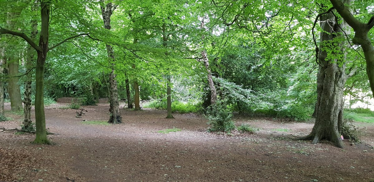 More around te  @WarleyWoods1 the last day or two.