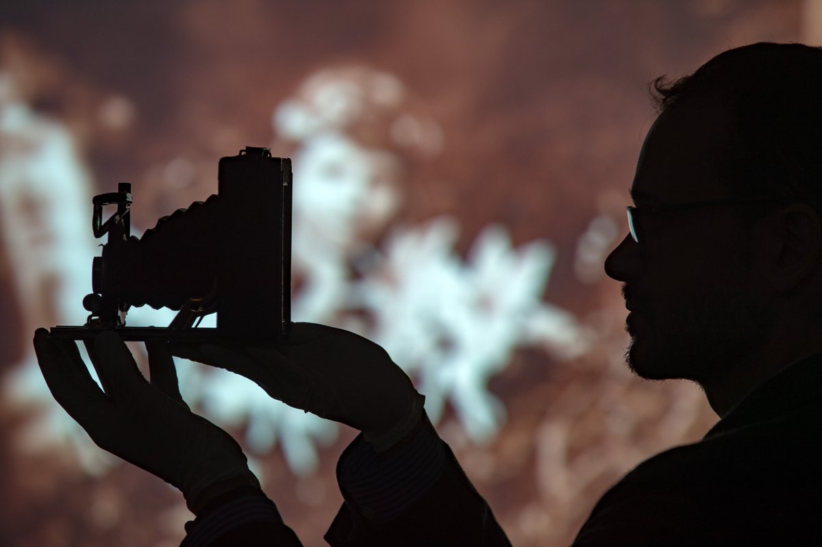 Bruce Rollinson 📸 tweet media