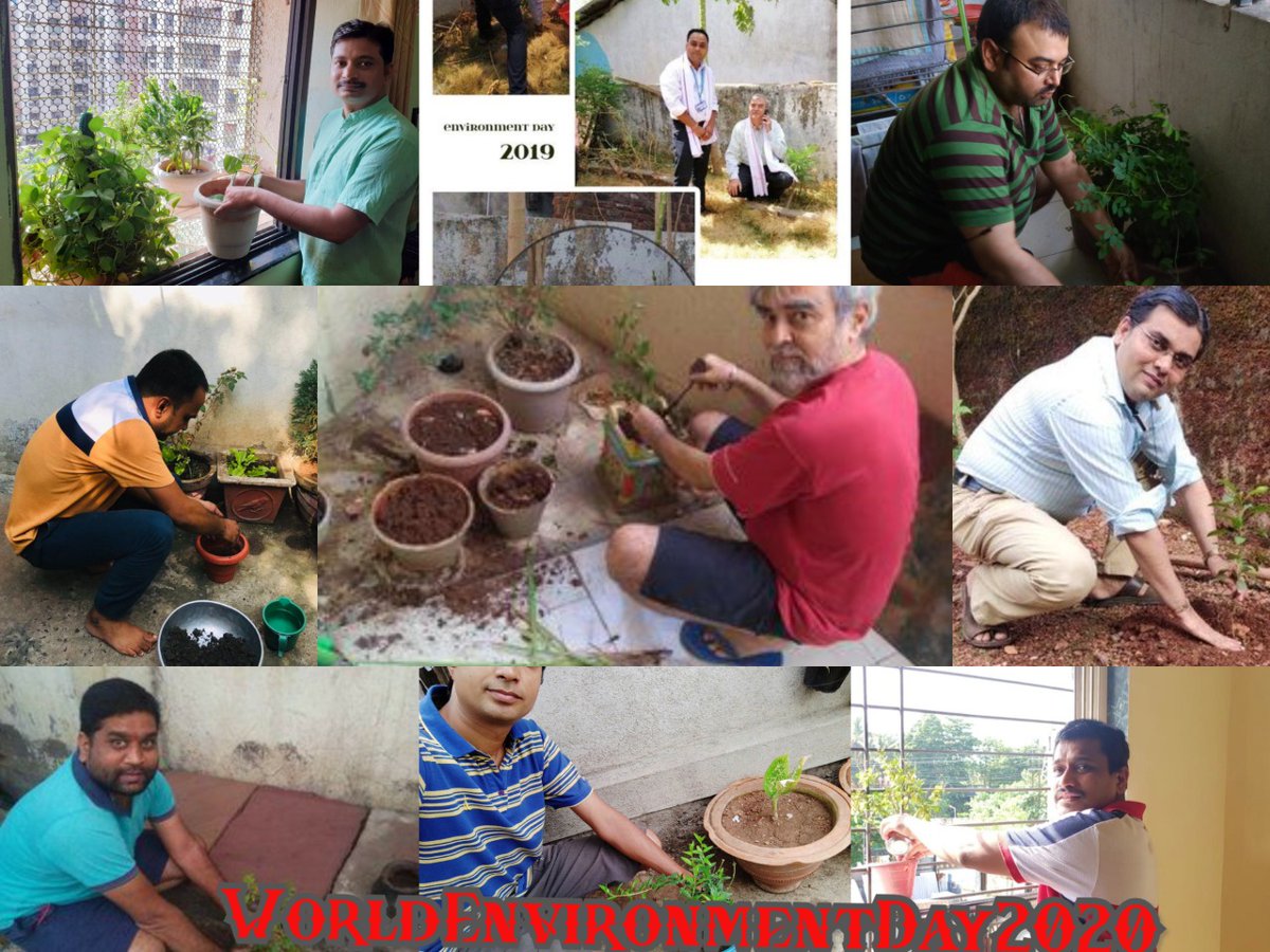 CSCMaharashtra's tweet photo. #cscplantatree #WorldEnvironmentDay 
Team Maharashtra. https://t.co/NMdcqUY4RL
