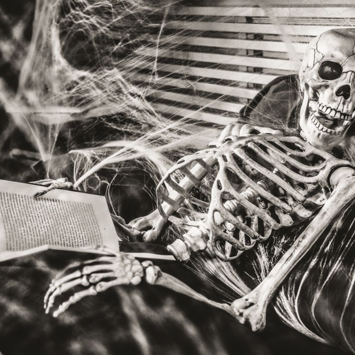 Happy weekend! Don't just sit around the house...get out! #weekend #10mc #horror
