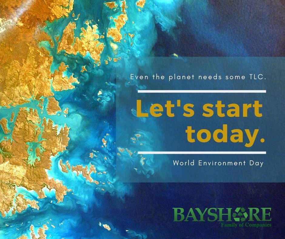 “The environment is where we all meet;where we all have a mutual interest; it is the one thing all of us share.”
-Lady Bird Johnson
We celebrate this day every year to raise global awareness and to take positive environmental action in protecting nature and our planet as a whole.