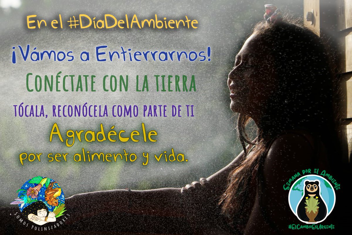 Censat Agua Viva tweet media