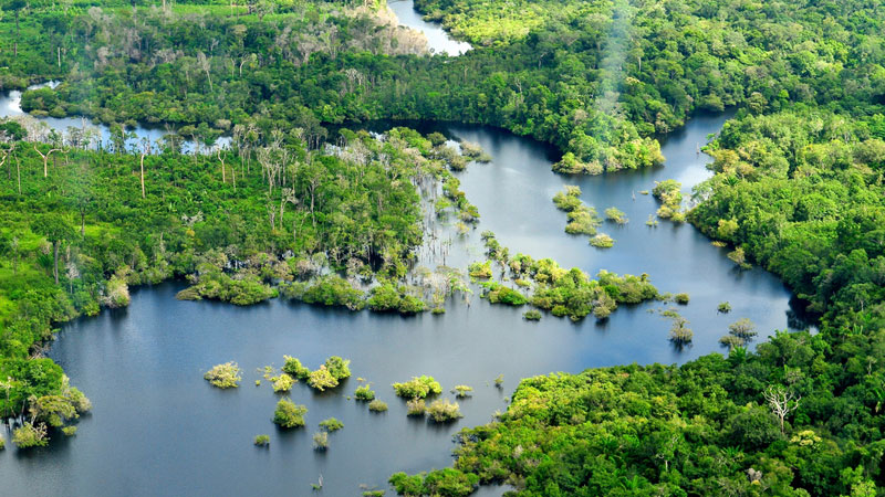 RegenFutureC's tweet photo. What is our Director of Regenerative Programs Antoine doing #ForNature?
 
"We're combining the ancestral knowledge of #Indigenous peoples with #agroforestry practices to revitalise a large region of the Amazon rainforest”
 
Connect with Antoine👇
https://t.co/gFPrF9oDyb https://t.co/d1pTyZVRya