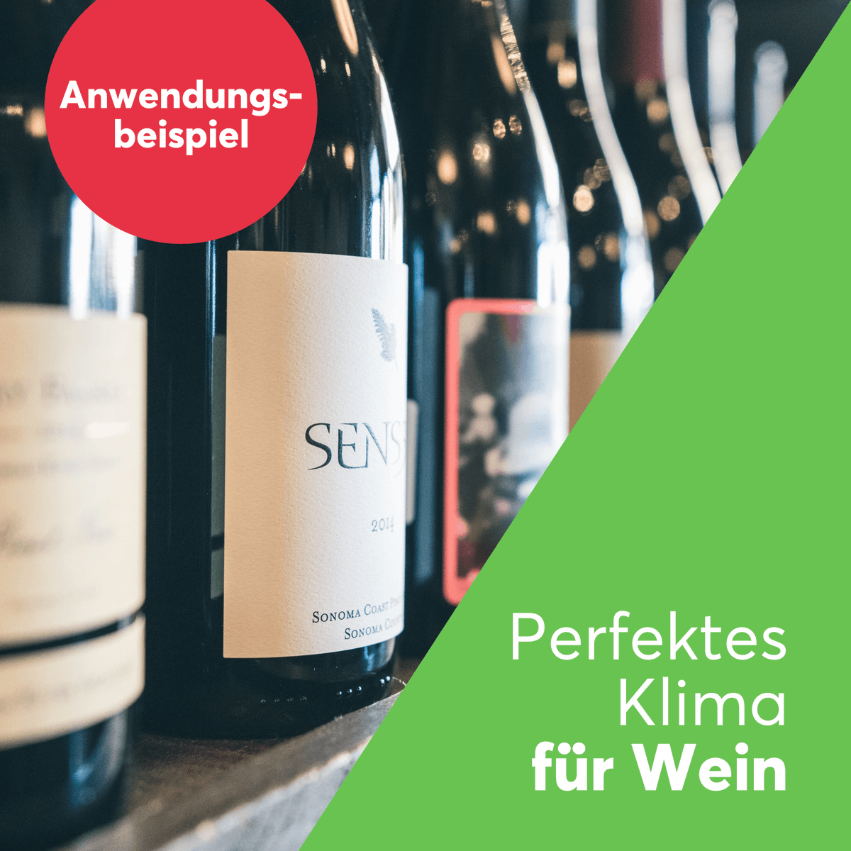Loxone's tweet image. Die Herausforderung: Intelligente Kontrolle der Luftfeuchtigkeit im Weinkeller 🤔

Die Lösung: loxone.com/dede/kb/kontro… 😉

#Loxone #CreateAutomation #LoxonePartner #Weinkeller #Luftfeuchtigkeit