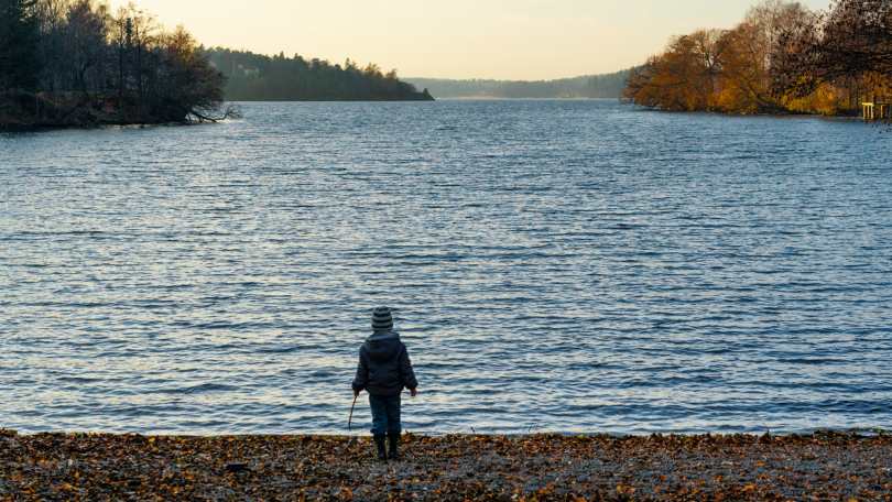 Jason A. Wolf tweet media