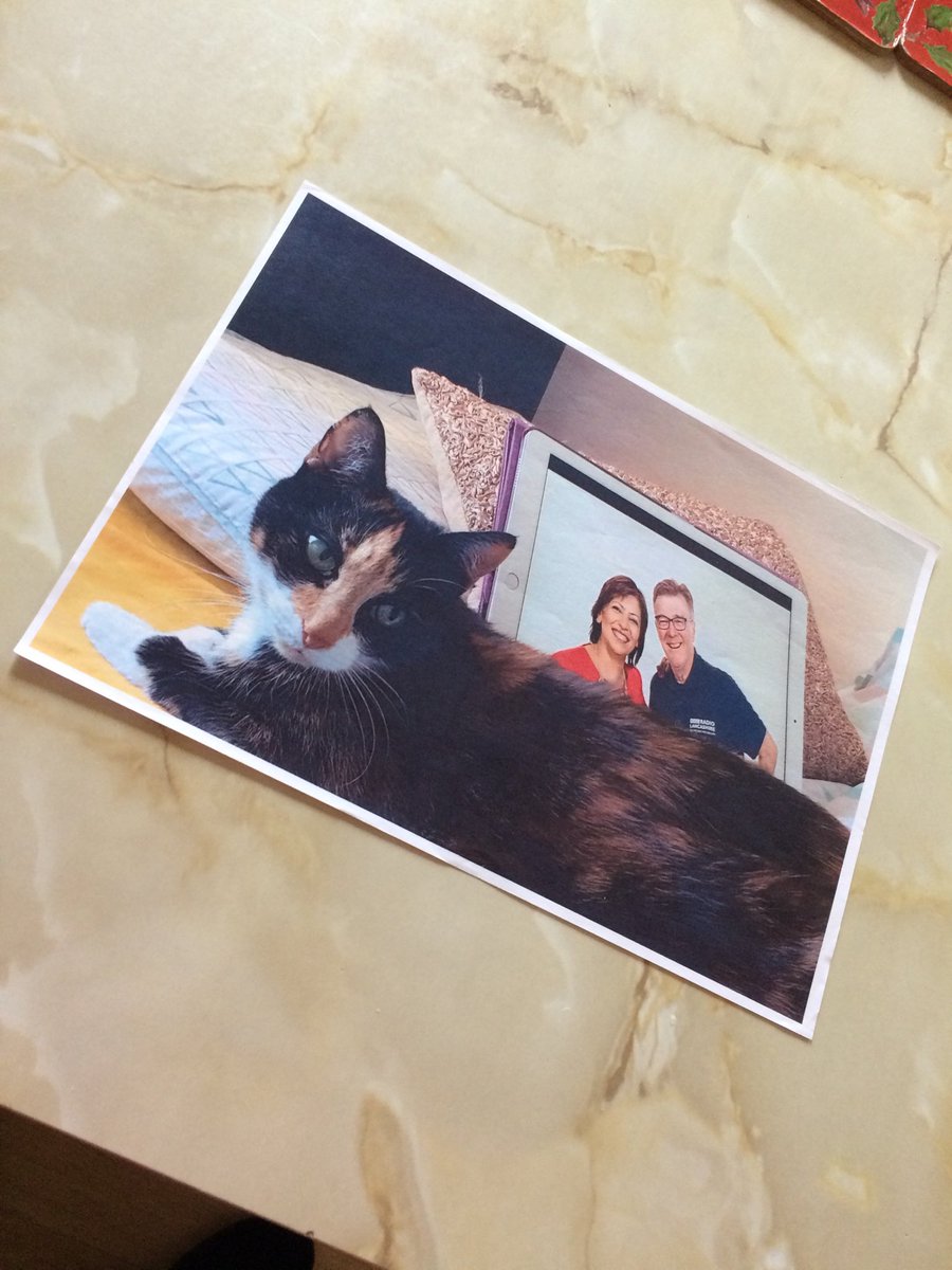 Gillylancs's tweet image. Join ⁦@Shigufta1⁩ and me from 6am on #caturday . It’s the 90th Anniversary since #alfredwainwright visited #thelakedistrict from #Blackburn we chat to ⁦@nickburton66⁩ . The latest travel plans with ⁦@HolsStrawberry⁩ The popular Punchline plus Some great songs