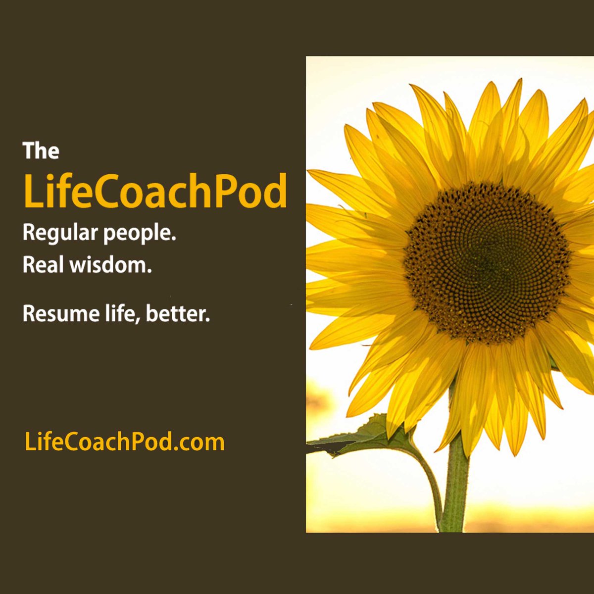 Good_In_America's tweet photo. Ready for something life-positive yet down to earth and regular? The Life Coach Pod is it! Subscribe below. We offer how-tos, inside advice, new perspectives and a positive groove to keep you doing your best you! https://t.co/Q2HTkPAW4e https://t.co/RoRQU1Zzwp