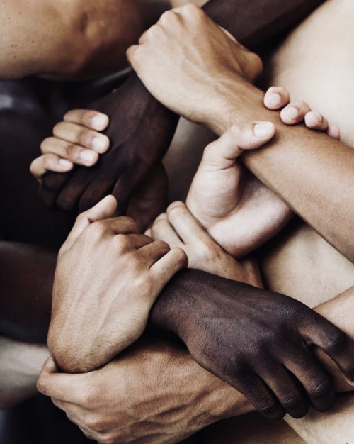 Kehoe Designs tweet media