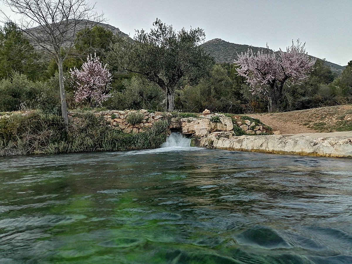 La Font de la Bassa de Turballos, a Muro (el Comtat), País Valencià.
#DiaDeLaTerra
#DiaDeLaTierra
#JourneeMondialeEnvironnement
#EarthDay2020