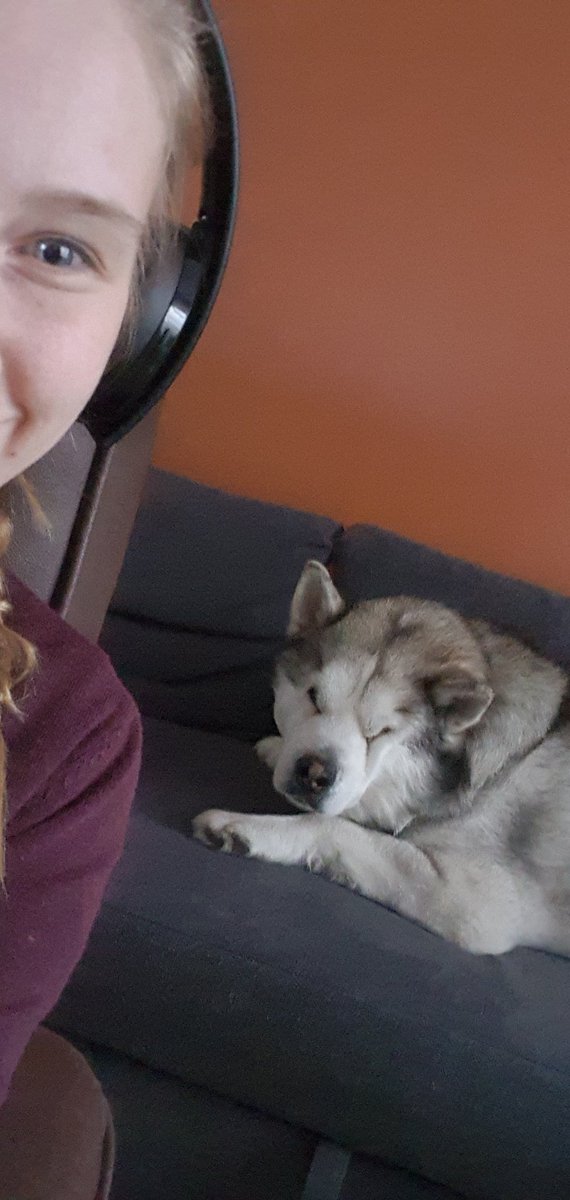 Ani & Porscha tweet media