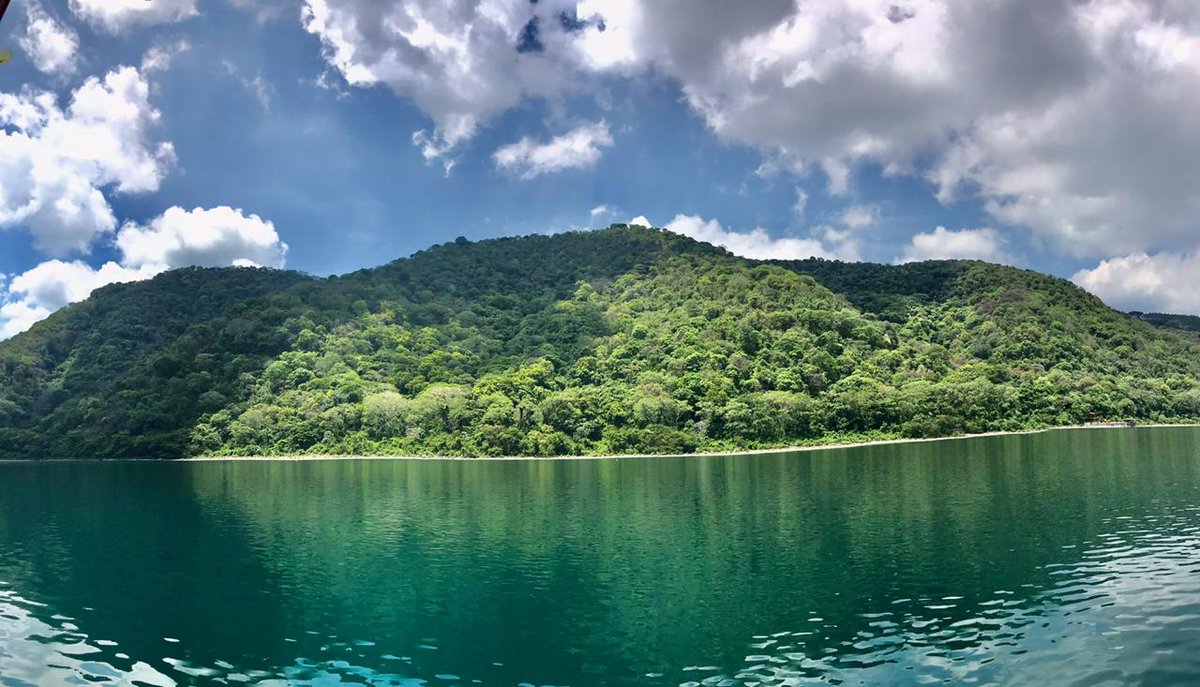 DÍA MUNDIAL DEL MEDIO AMBIENTE

“la Fundación Coatepeque te invita a cuidar el planeta y proteger nuestra biodiversidad, y comprender que todos los seres vivos de la Tierra están conectados en la red de la vida ”  (Ruben Sorto - Biólogo de Fundación Coatepeque)