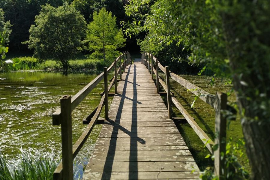 taize's tweet photo. An article by Brother Alois five years after Laudato Si’
... "We have a huge opportunity to ask ourselves what kind of future we want. Will we be able to seize this moment?"
https://t.co/ejvy3njesb
#WordEnvironmentDay https://t.co/QsnwTqEbPE