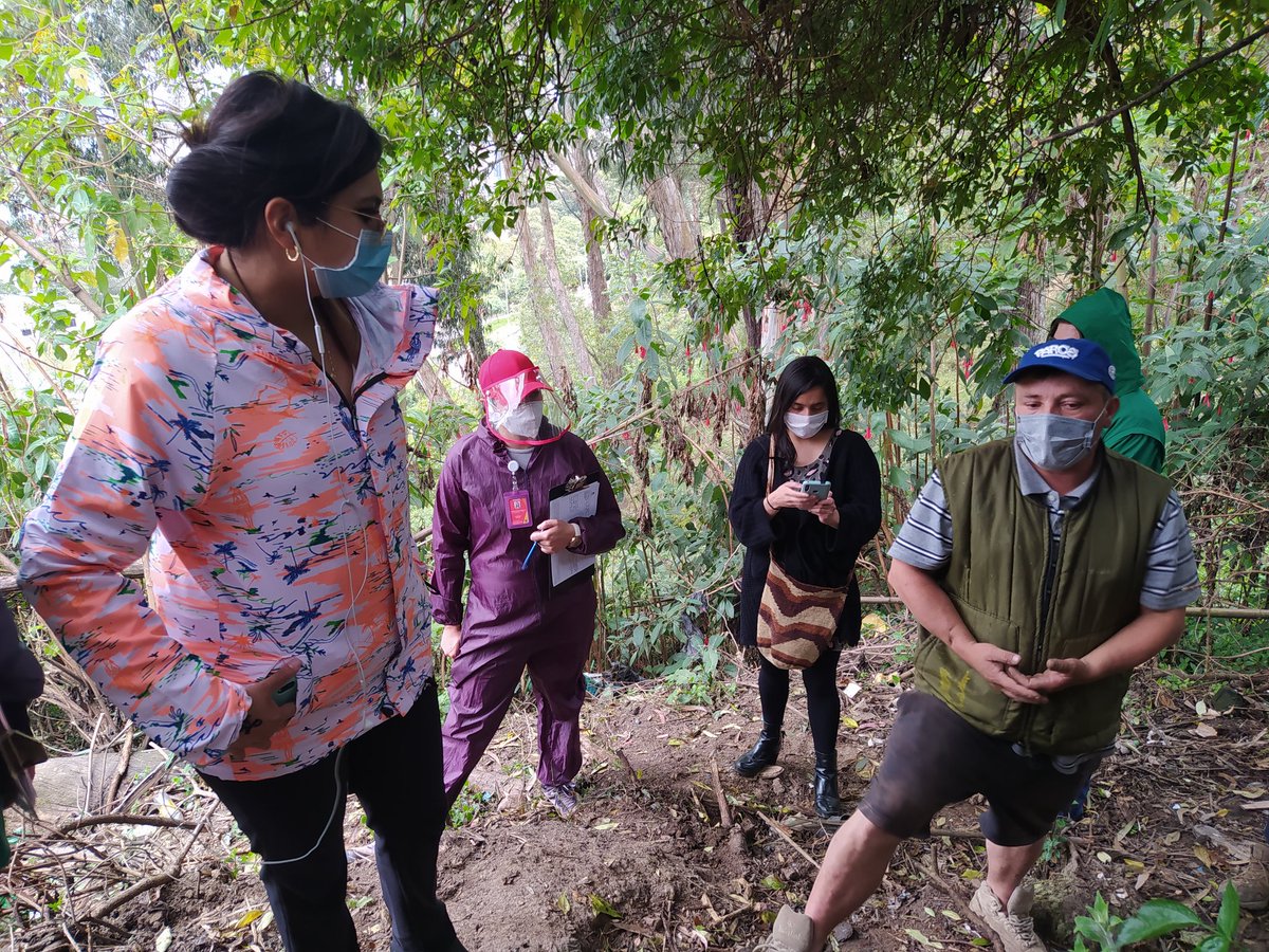 AngelaQuirogaC's tweet photo. Estamos en el barrio Egipto con el @JBotanicoBogota visitando las huertas urbanas de la localidad. https://t.co/lLJCCbTCU7