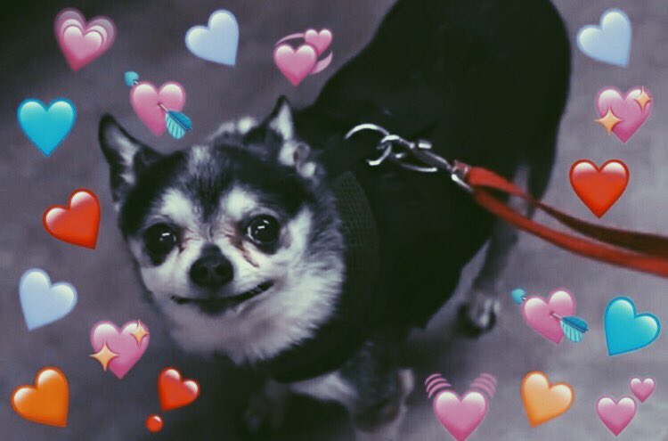 eeybby123's tweet photo. 𝕙𝕒𝕡𝕡𝕪 𝟙𝟚𝕥𝕙 𝕓𝕚𝕣𝕥𝕙𝕕𝕒𝕪 𝕞𝕒𝕣𝕓𝕝𝕖𝕤 🧚🏻‍♀️✨💥 https://t.co/ky13V0cVEv