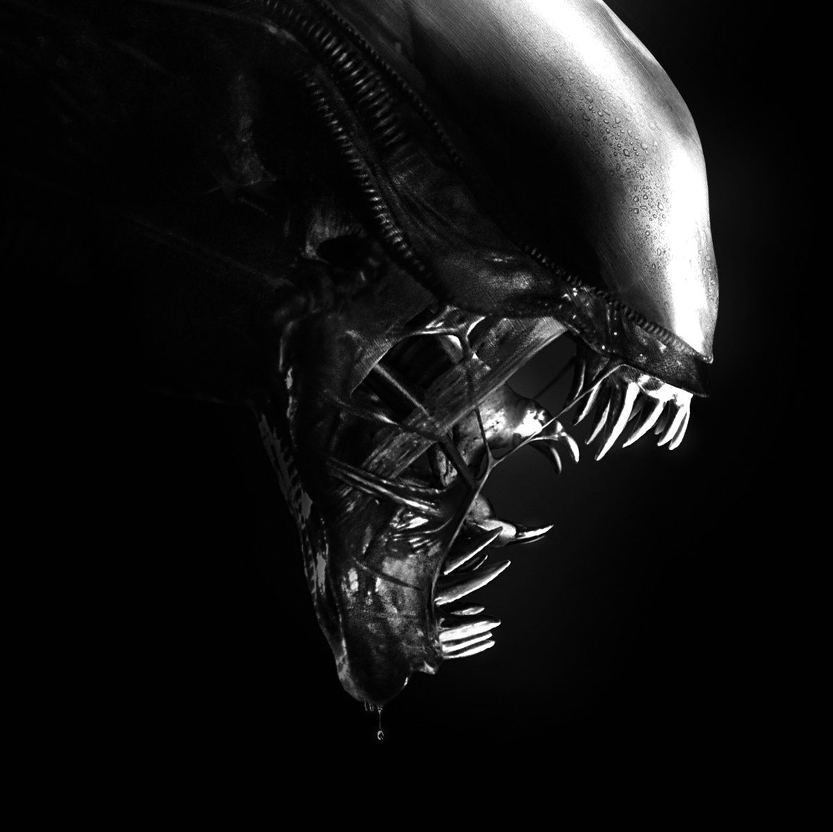 archillect's tweet image. 