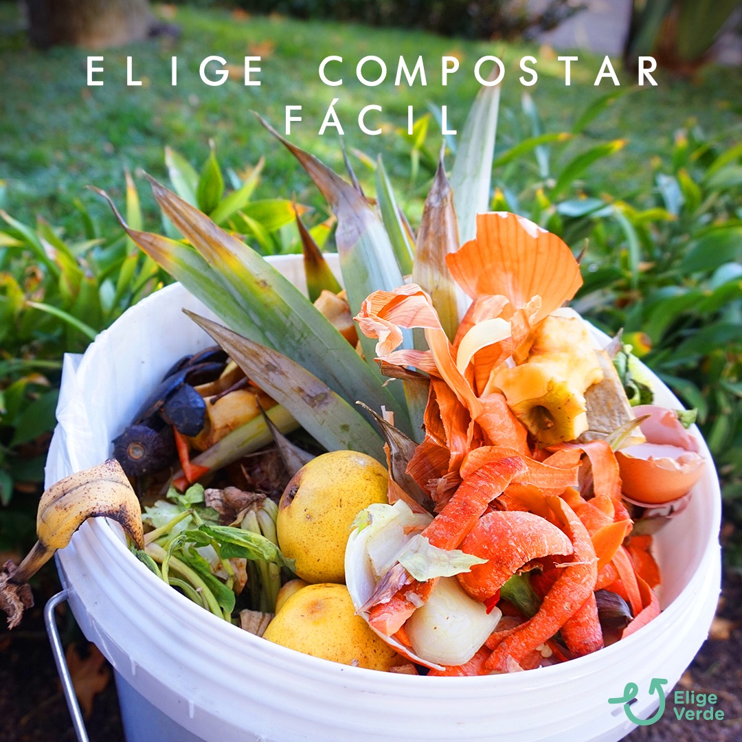 eligeverdecl's tweet photo. Elige compostar en 3 simples pasos 🥰

1️⃣Nosotros: Te entregamos un contenedor + abono + bolsas compostables 🗑️
2️⃣Tú: Depositas TODOS tus residuos orgánicos en el contenedor 🍎
3️⃣Nosotros: Lo retiramos el día que le corresponda a tu comuna 🚛 https://t.co/iPbb22FSTA