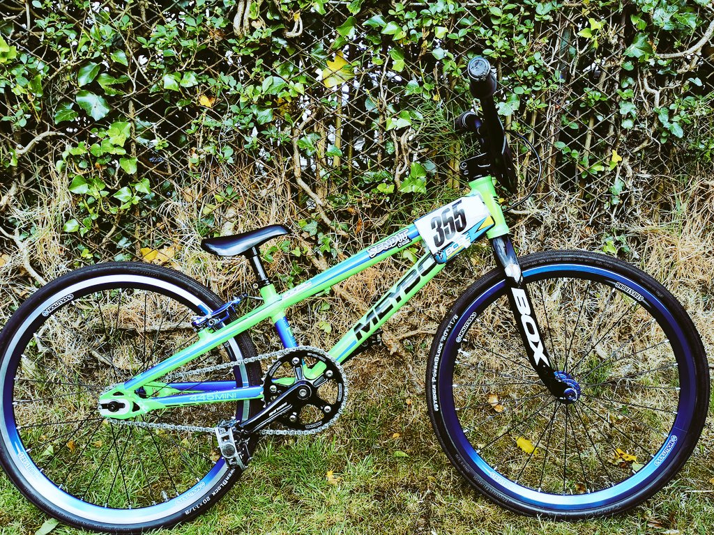 Peter Jamison (@peterjamison3) on Twitter photo 