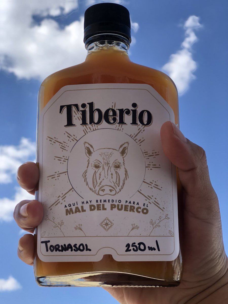 Hoy me encontré en el cielo un remedio para el mal del puerco y sabe a ron reposado, café filtrado en frío, piña, limón amarillo, jarabe de canela y clavo

Los venden en <a href="/CasaCardinal/">Cardinal. Casa de café.</a> y de verdad que son un buen apapacho 😭