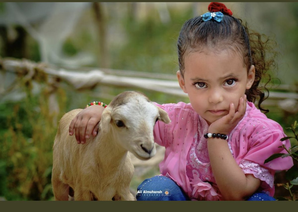 @AliAlmohansh 💐يرسل بياناته