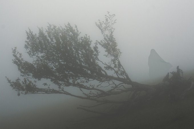 'Düşünsene hem kuyudasın hem de Yusuf değilsin.'