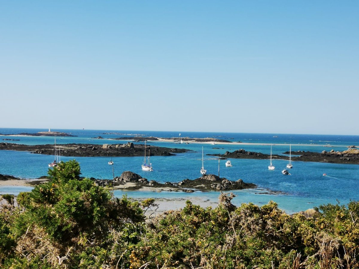 sailing_green's tweet photo. Bonne #JourneeMondialeEnvironnement à tous ceux qui agissent pour protéger notre planète 🌱
@ZeroWasteRennes @ZeroWasteFR @phenixfr @TooGoodToGo_Fr @FondationNH @TaraOcean_ 
📷Une photo du week-end dernier qui montre la beauté de Mère Nature!!! https://t.co/CFgLEvPJq0