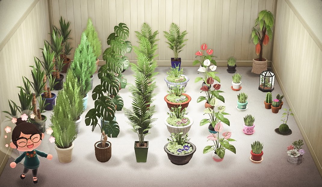 apettierjesus's tweet photo. 🌿GREEN THUMB GIVEAWAY🌿

prize:
🌵complete plant collection
🌵100 NMT 

to enter:
🍃follow
🍃retweet
🍃tag a friend!

ends june 14, 5pm est. good luck! https://t.co/GDutrVVark