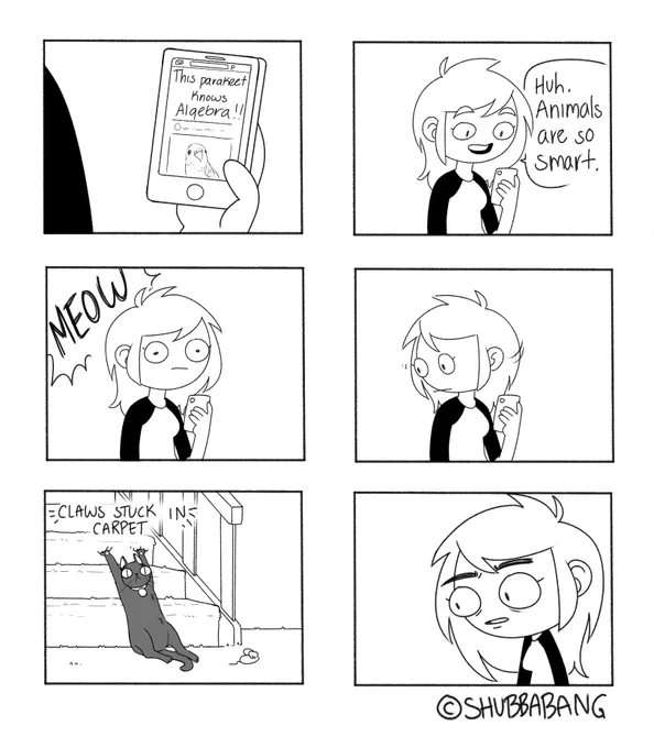 :/ 