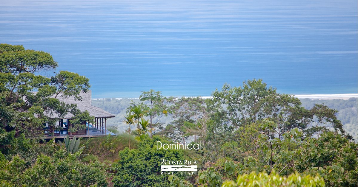 Developers and investors have defined their visions for the future with a commitment to sustainable development.

soo.nr/Oi2Q

#2CRRE #realty #realtor #realestate⁠ #listing #greatvalue #costarica #luxuryhomes  #travel #playadominical #dominicalbeach