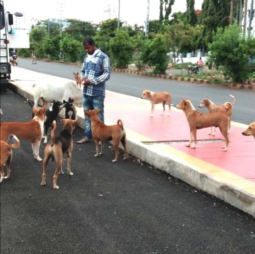 ArtofAid2's tweet photo. Feeding the abandoned cows and homeless dogs.
Date :5/06/20
#ArtofAid https://t.co/d2GzdMDbNK