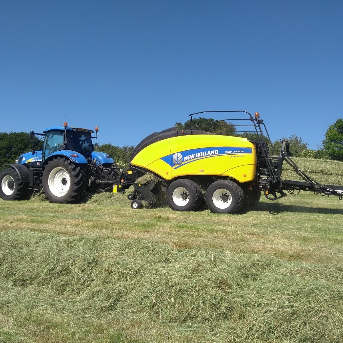 The glorious weather we've had recently, means that hay making and lambing have overlapped, making for a very busy time for some of our members!  Join us on Online Farm Sunday to find out what else is happening on the farm this weekend.
#lofs20 #marlboroughdowns #spacefornature