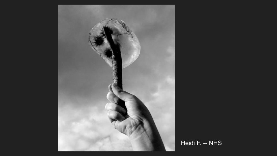 NHSPhotoSociety's tweet image. #ccsartsday