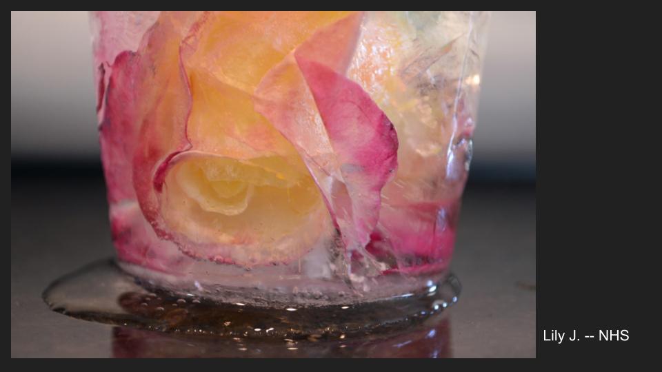 NHSPhotoSociety's tweet image. #ccsartsday