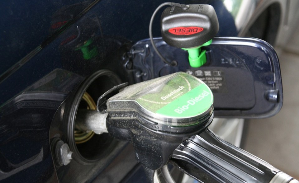 allafrica's tweet photo. Finally, Govt Hands Off Pricing of Petrol @THISDAYLIVE: https://t.co/v7oNCgj24f #Nigeria #NNPC #Governance #pricing #economy #oilmarketers https://t.co/9amY6B6fWS