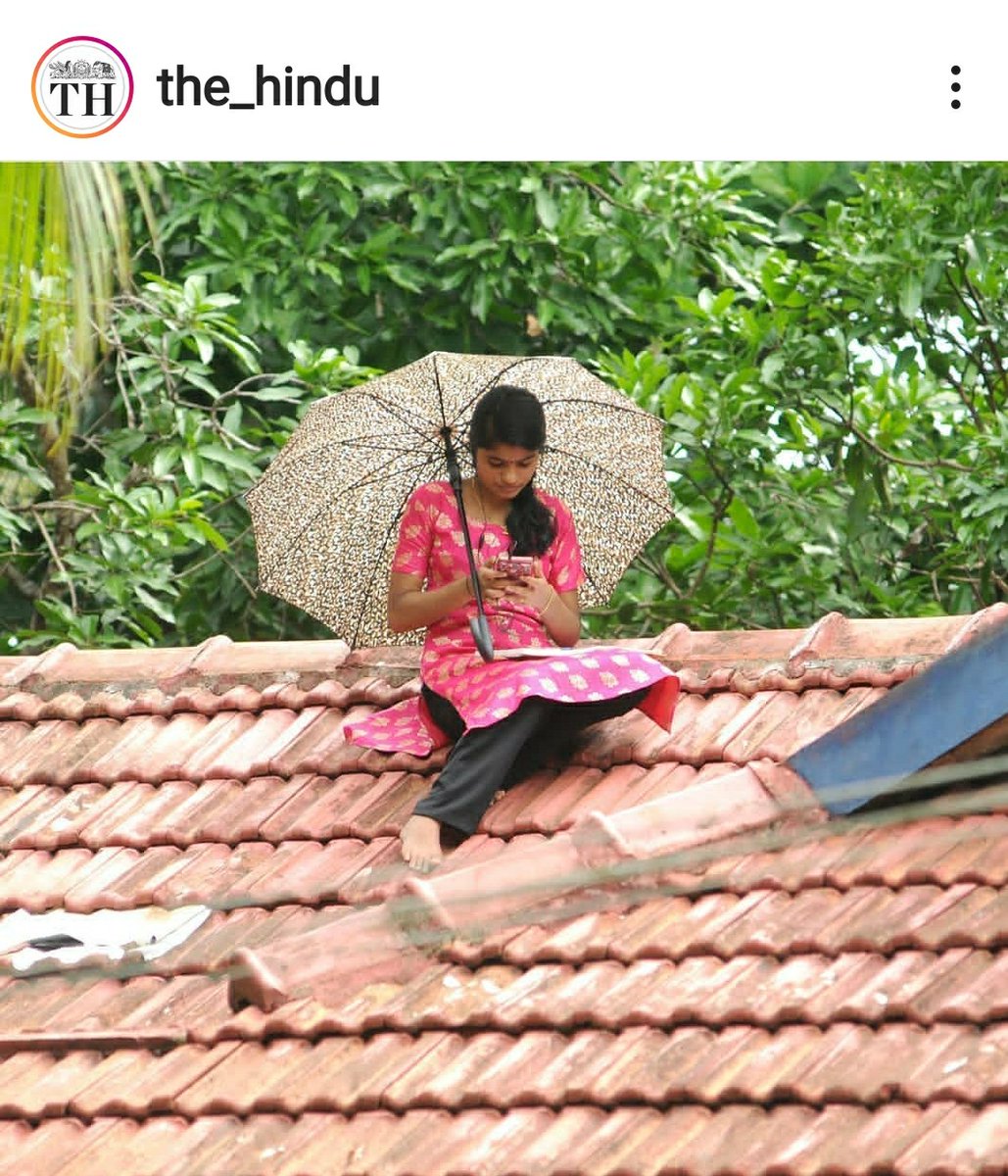 A student of Fifth Semester English, in Areekkal, Kerala, sits on the roof of her house, the only place with fairly good signal strength for mobile data, attending classes online. Photo courtesy: Sakkir Hussain, The Hindu.