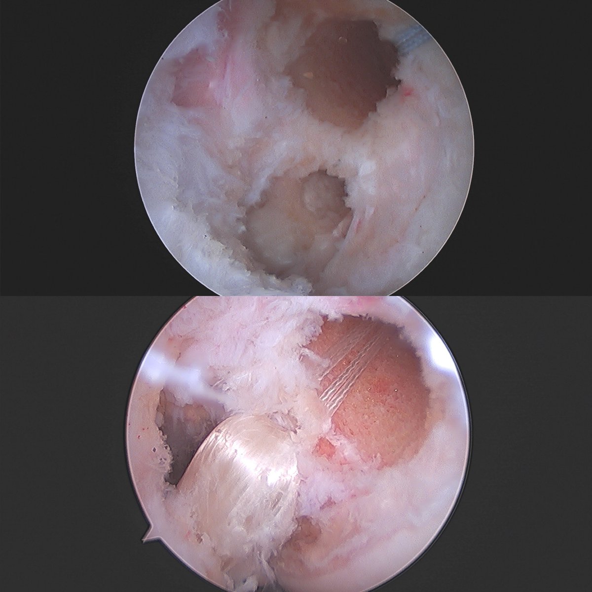 UNIDAD RODILLA CEMTRO tweet media