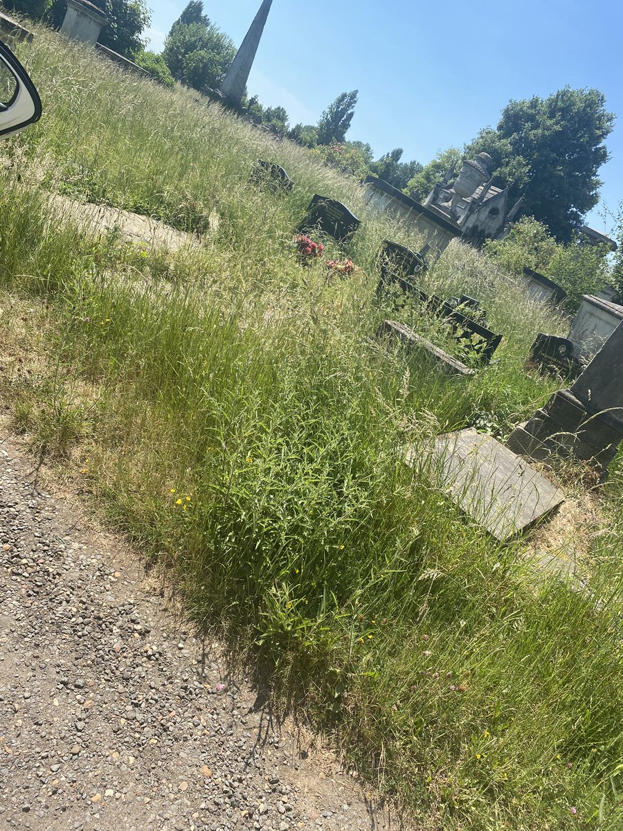 aprilellie's tweet photo. @FelicityBuchan are you the m.p that covers Kensal Green cemetery? Who governs them please? Have you seen the poor maintenance that grieving famlies have to suffer every year? What happened to rest in peace, this is distressing! https://t.co/kGz40VdCVC