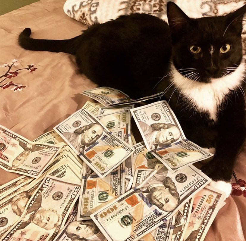 heatherwrightxo's tweet photo. if you’re a real sugar baby whos serious please message me , i am tired of these fake sugar babies trying to scam me 😢 https://t.co/IfANPOEYXz