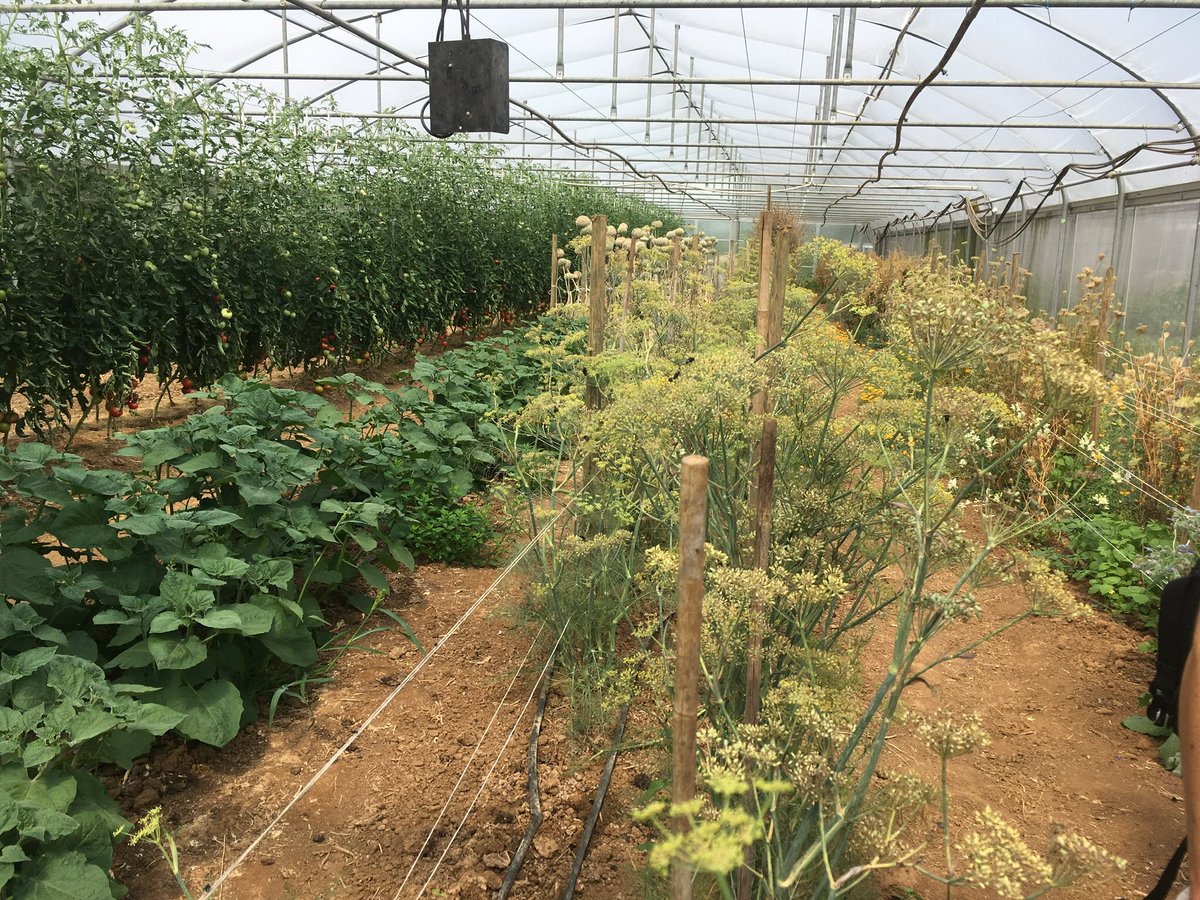 PhilSumption's tweet image. Five reasons why seeds should be a commons - in times of Covid-19 #OpenSourceSeeds opensourceseeds.org/en/blog/five-r…