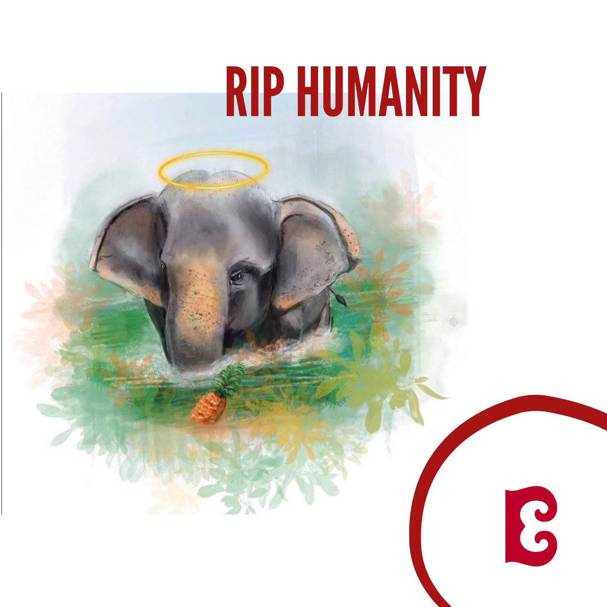 #JusticeForElephant #SayNoToCruelty #RIPHumanity #AnimalCruelty #saveourelephants 🐘